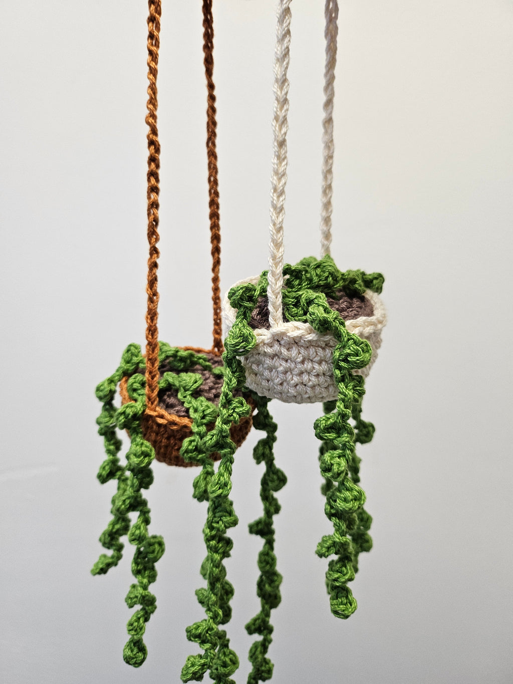 Hanging Pearl Plant