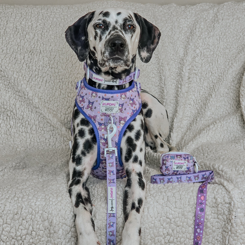 Dog Collar - Kuromi™